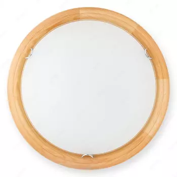 Настенно потолочный светильник Toplight Wifa TL9144Y-02PN