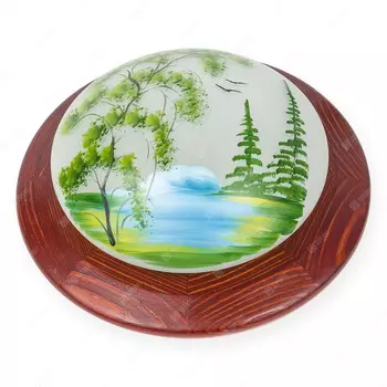 Настенно потолочный светильник Toplight Witaec TL9470Y-01OA