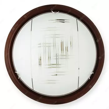 Настенно потолочный светильник Toplight Zier TL9153Y-02PO