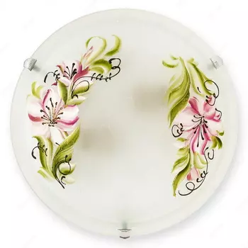 Настенно потолочный светильник Toplight Zulad TL9391Y-02WH