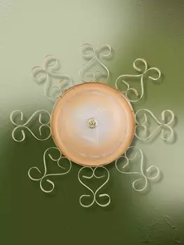 Настенно потолочный светильник Vitaluce 6836 V6836/2A