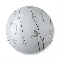 Настенно потолочный светильник Vitaluce V6411/2A