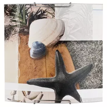 Настенное бра Alfa (СМ) Sheel 91387