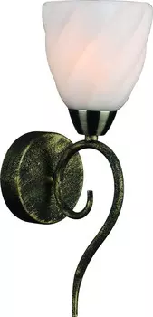 Настенное бра Arte Lamp A6253AP-1BA