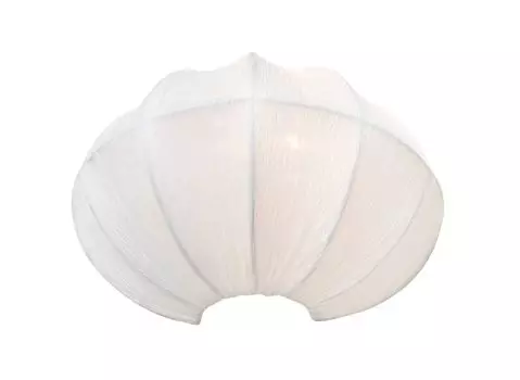 Настенное бра Arte Lamp COCOON A6190AP-1WH