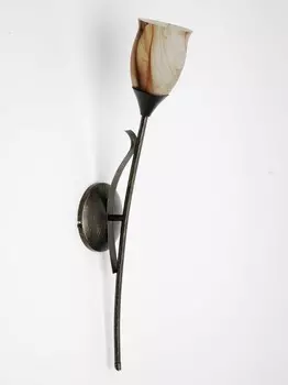 Настенное бра Brilliant AREZZO 28551/58