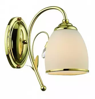 Настенное бра Favourite Brilliance 2640-1W