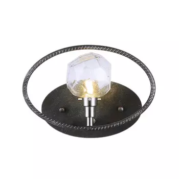 Настенное бра Favourite Lick 1903-1W