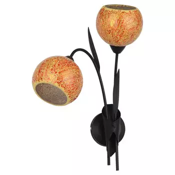 Настенное бра Lussole Bagheria LSF-6201-02