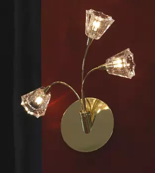 Настенное бра Lussole Caserta LSC-3011-03