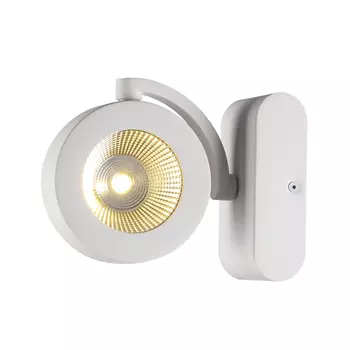Настенное бра Odeon Light Pumavi 3493/10WL
