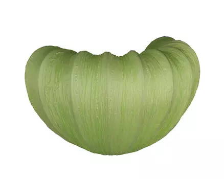 Настенное бра Omnilux Guyenne OML-42211-01