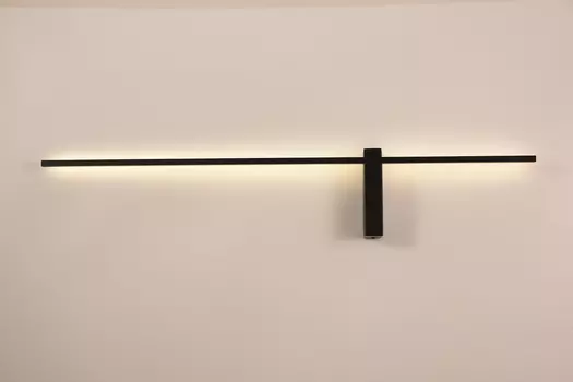 Настенный светильник Arte Lamp Phoenix A2025AP-1BK