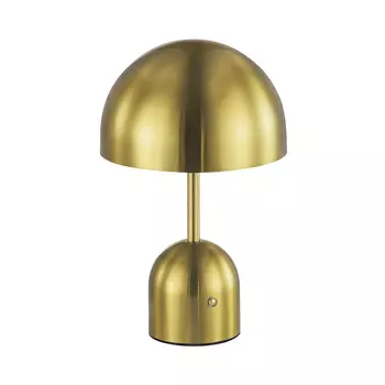 Настольная лампа Evoluce Eclat SLE1806-204-01