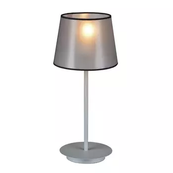 Настольная лампа Favourite Essentia 2001-1T