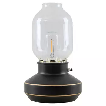 Настольная лампа Lussole Anchorage LSP-0569