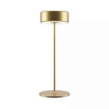 Настольная лампа Maytoni AI Collaboration MOD229TL-L3G3K2