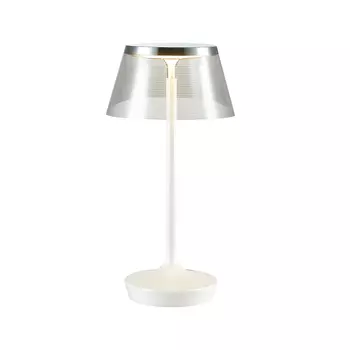 Настольная лампа Odeon Light Abel 4108/7TL