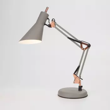 Офисная настольная лампа Eurosvet Norden 01032/1 серый