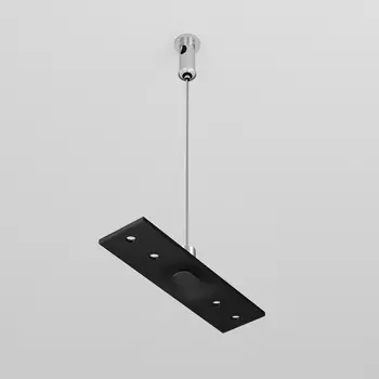 Подвес тросовый 2шт Maytoni Exility TRA034SW-2B