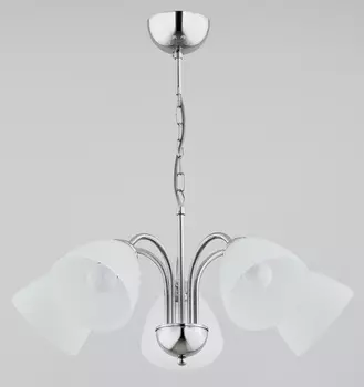 Подвесная люстра Alfa Tora 21255