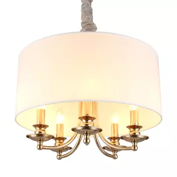 Подвесная люстра Aployt Berze APL.721.06.05