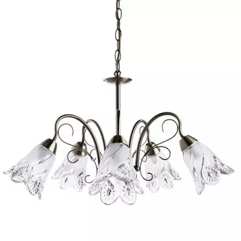 Подвесная люстра Arte Lamp A6273LM-5AB