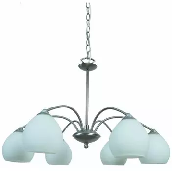 Подвесная люстра Arte Lamp A8289LM-6SS