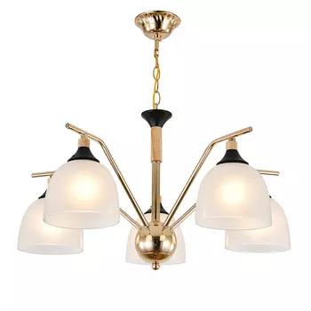 Подвесная люстра Escada Actinidia 2123/5P