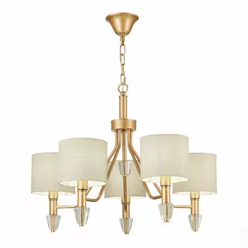 Подвесная люстра Evoluce Vilede SLE107003-05