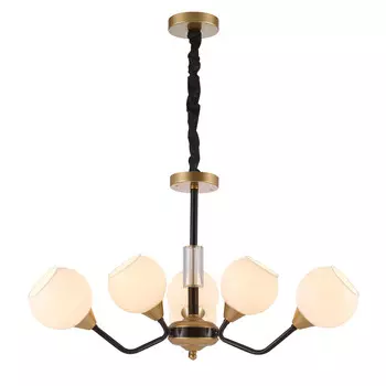 Подвесная люстра Favourite Germen 2550-6P