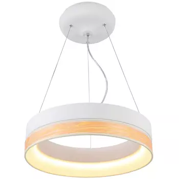 Подвесная люстра Favourite Ledino 1357-120P