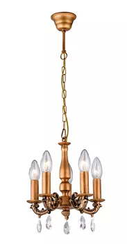 Подвесная люстра Favourite Moment 1562-5P