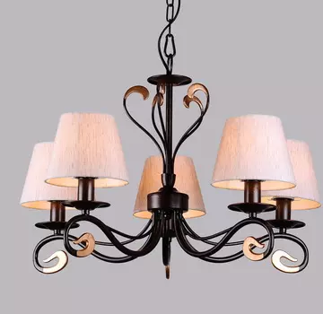 Подвесная люстра Favourite Paralumi 1147-5P