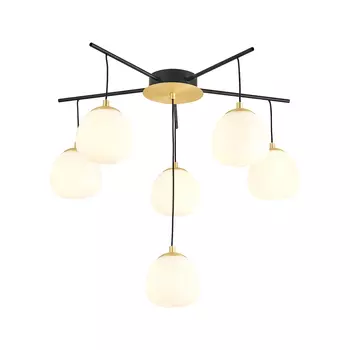 Подвесная люстра Favourite Paramount 3047-6P