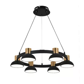 Подвесная люстра Indigo Traforo V000182L 11059/6P Black