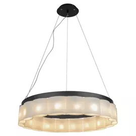 Подвесная люстра L'Arte Luce Luxury Cinghia L29500