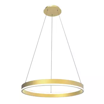 Подвесная люстра Lightstar Rotonda 736412