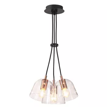 Подвесная люстра Lumion Joseph 4455/3