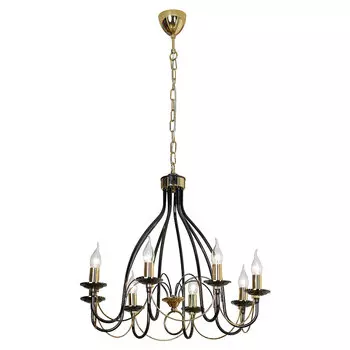 Подвесная люстра Lussole Todi LSA-4613-08