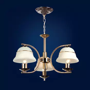 Подвесная люстра Максисвет 1-1808-3-FG E14