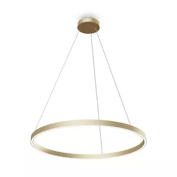 Подвесная люстра Maytoni Rim MOD058PL-L42BSK