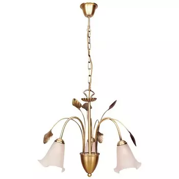 Подвесная люстра MW Light Флора 256015603