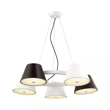 Подвесная люстра Odeon Light Charlie 3992/5