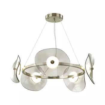 Подвесная люстра Odeon Light Fluent 4858/48L