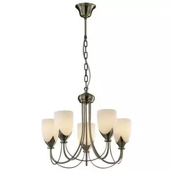 Подвесная люстра Odeon Light RISTO 2079/5