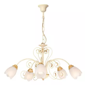 Подвесная люстра Северный свет Акварель 1338