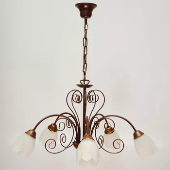 Подвесная люстра Северный свет Акварель 1339