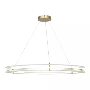 Подвесная люстра ST Luce Fagy SL6245.213.01