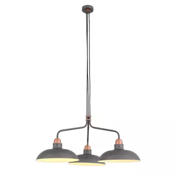 Подвесная люстра ST Luce Pietanza SL323.403.03